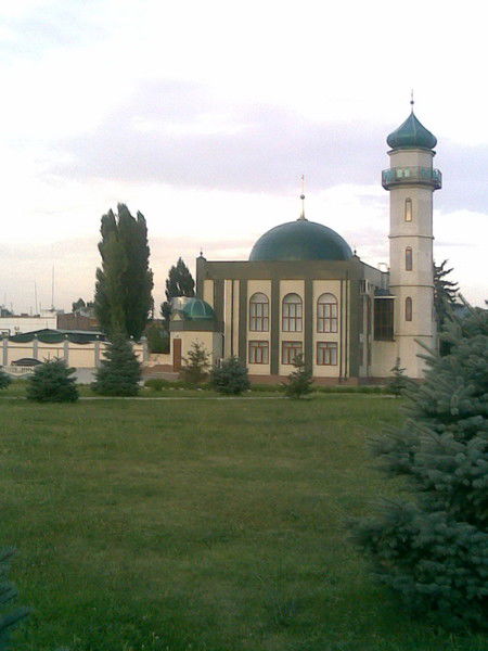 Светлана Гагарина