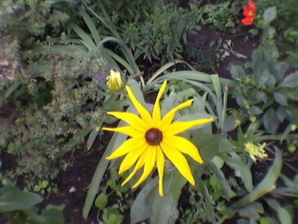 Маргарита Деткова