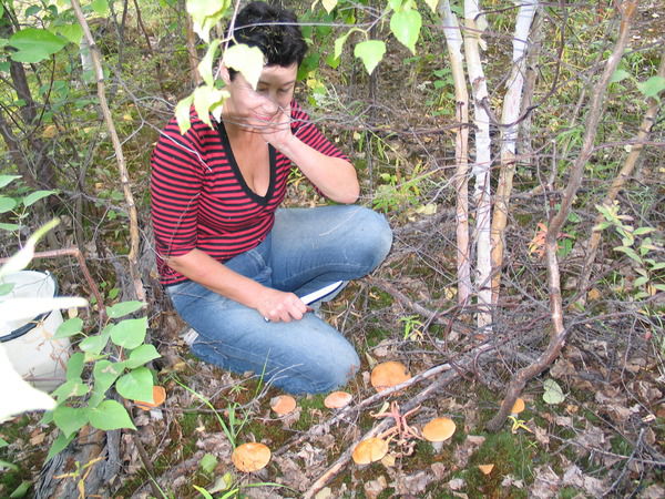 Наталья Иродова