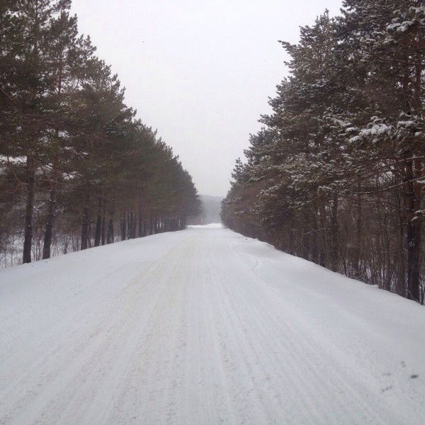 Игорь Калашник