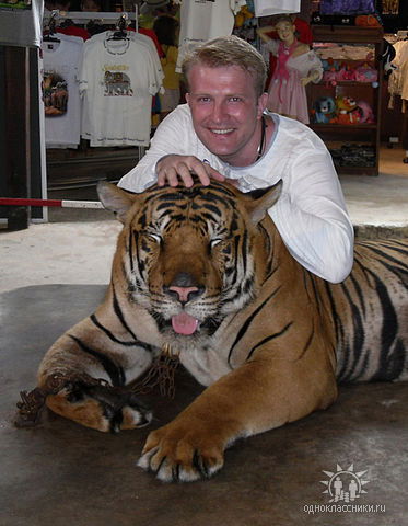 Павел Краснов