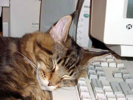 Вячеслав Золотарев