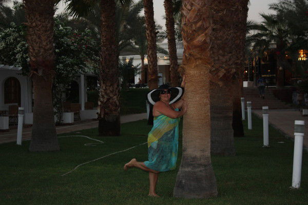 Елена Зорина