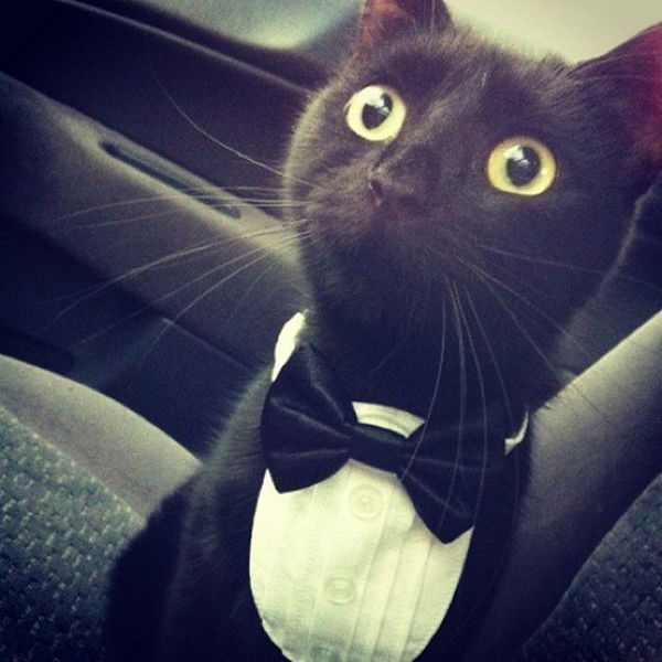 Женька Котов