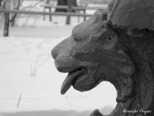 Александр Пиняев