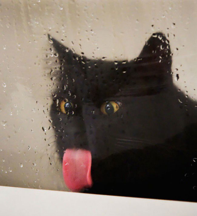 Митрий Зырянов