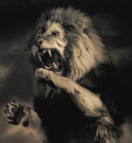 Арыстан Асылханов