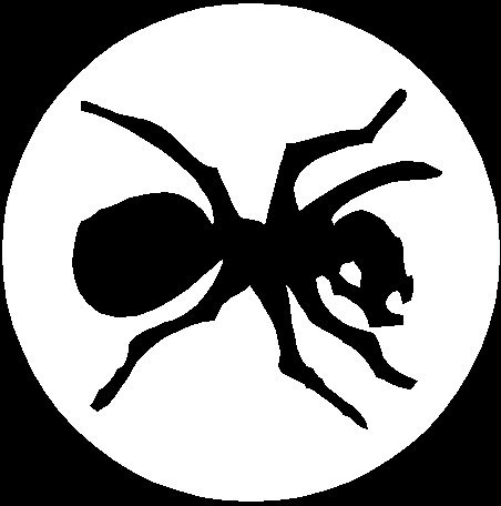 Степан Безденежных