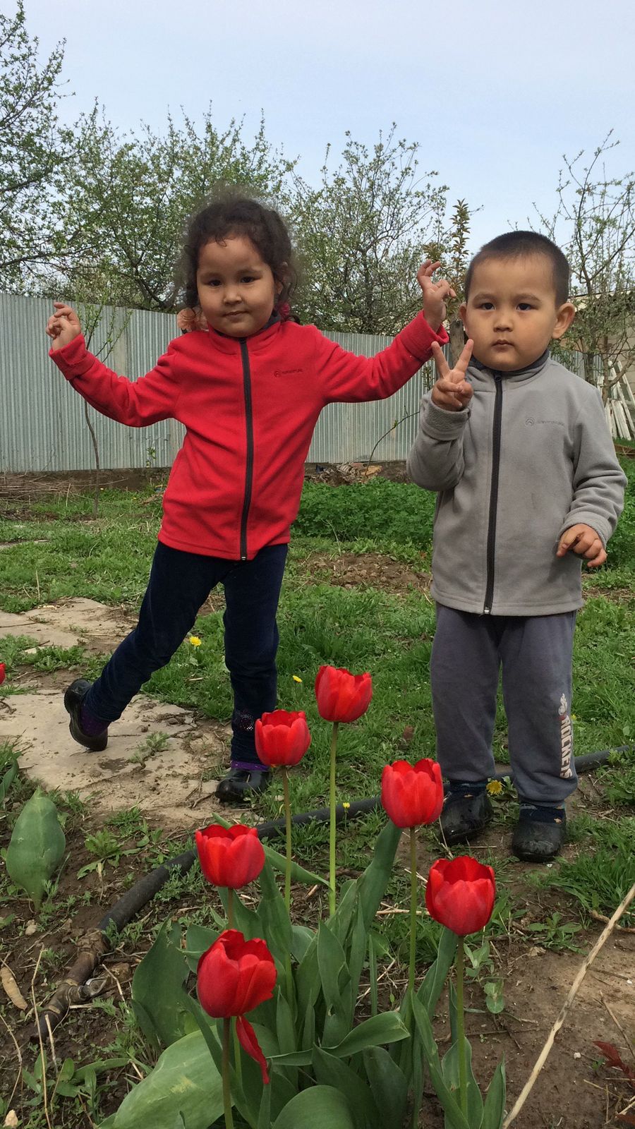 Болат Досыбаев