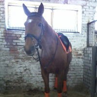 Оксана Махнач