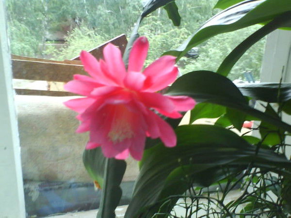 Eliza Татьяна