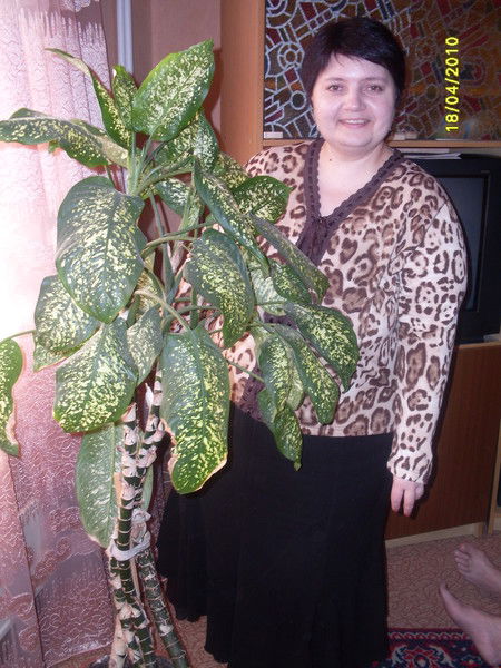 Наталья Емельянова