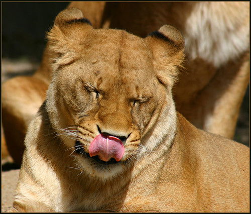 Юля Акимова