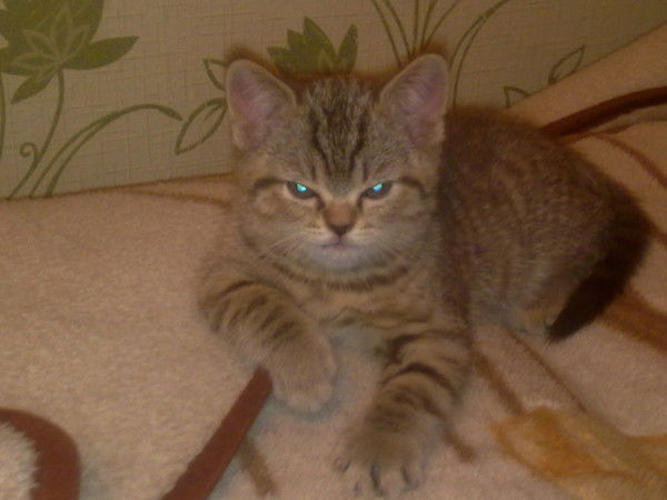 Екатерина Трофимова