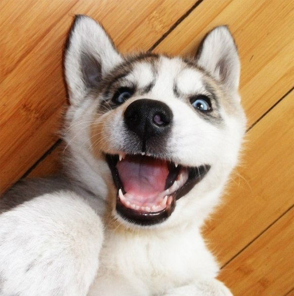 Ситора Орипова