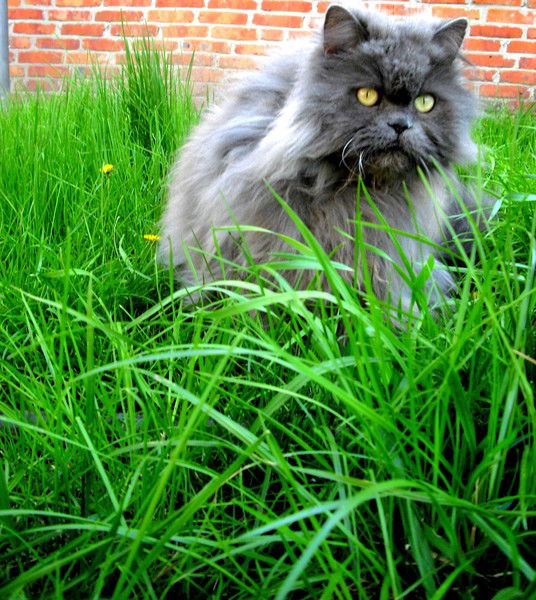 Татьяна Лымарева