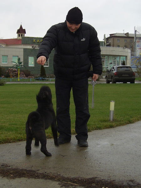 Дмитрий _______