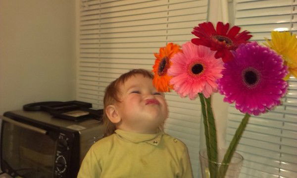 Лейс@нк@ Заляева