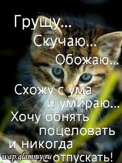 Алексей Цыбулькин