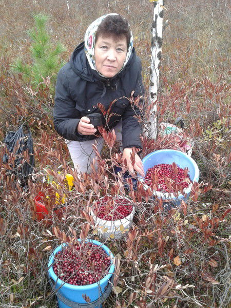 Людмила Иванова