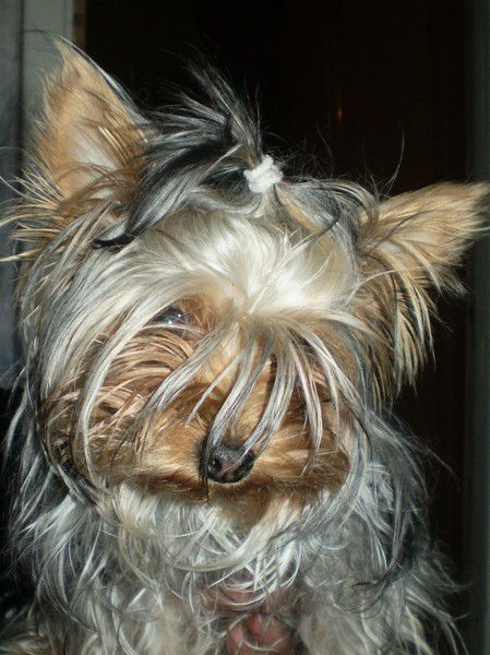 Светлана Нужнова