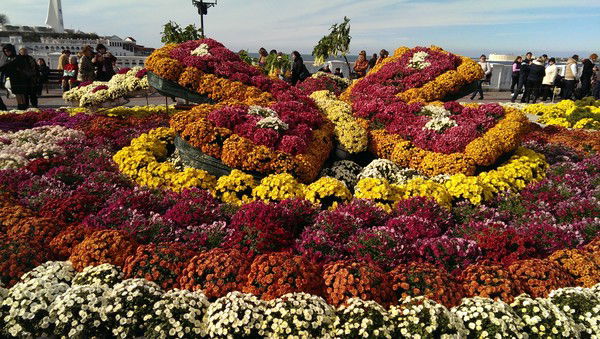 Владимир Верховод