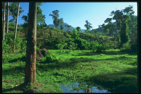 Александр Дюкарев