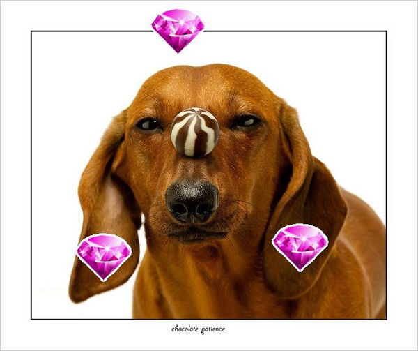 Роман Матвеев