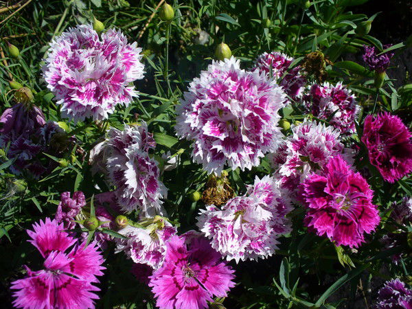 Гузель Мударисова