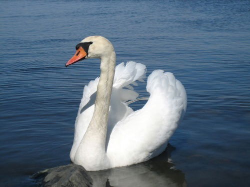 Татьяна Кузнецова