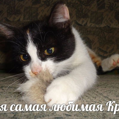 Лейсана Набиуллина