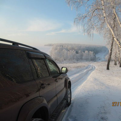 Никита Удовиченко
