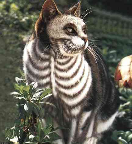 Дима Ермаков