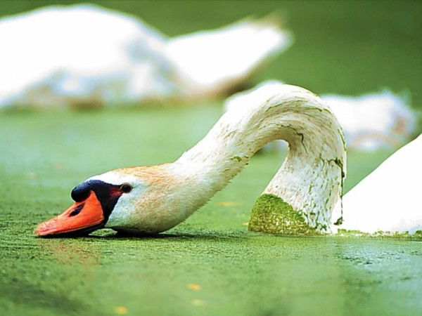 Сергей Суслов