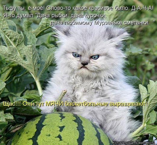 Сергей Иванов