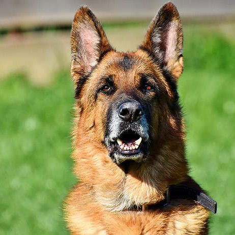 Гулсим Онайбаева