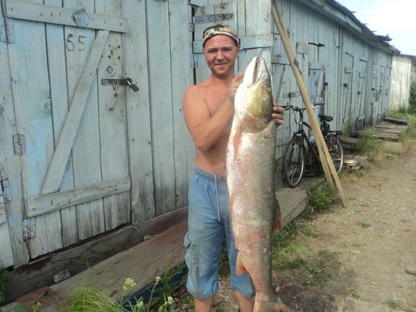 Сергей Ковригин