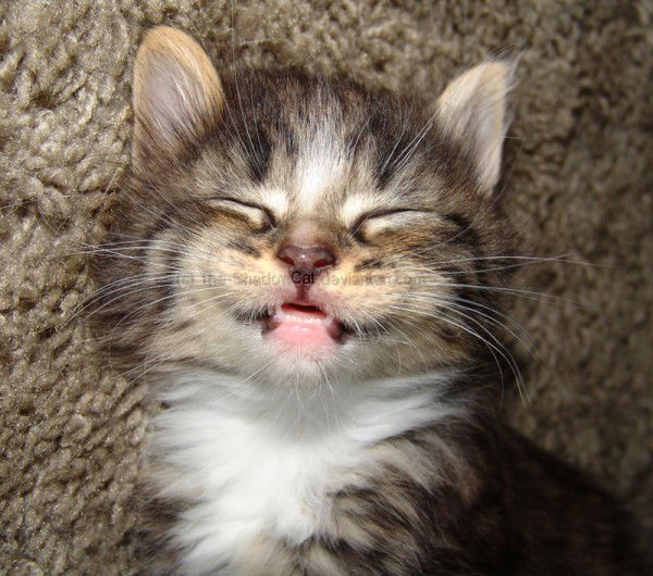 Мария Бурцева