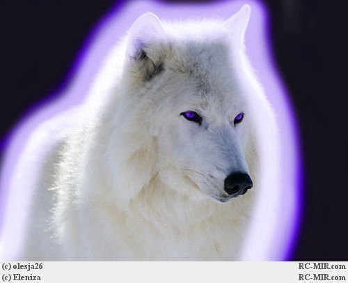 Александр Братына