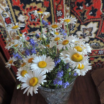 Кристина Панкова