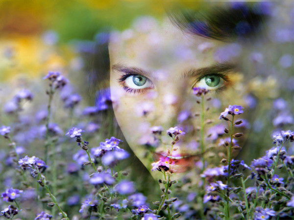 Дарина Солонская