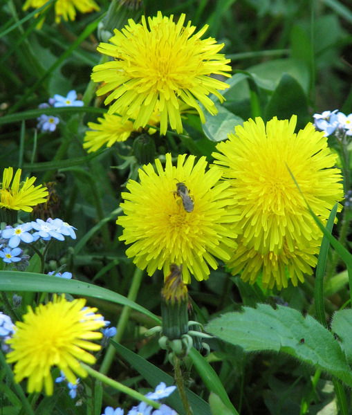 Юлия Кучерук