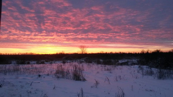 Юрий Карнаухов