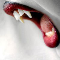 Евгения Вишневецкая