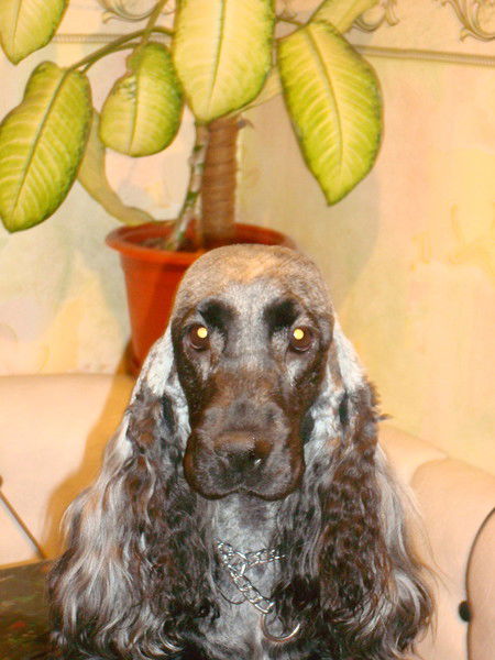 Марина Тураева