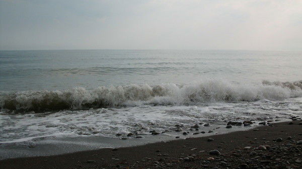 Наташа Перова