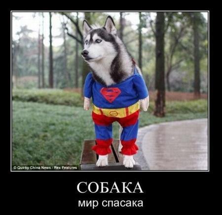 Еремей Парнов