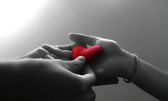 Светлана Рыбакова