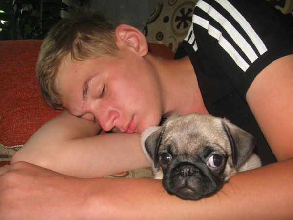 Сергей Храмцов