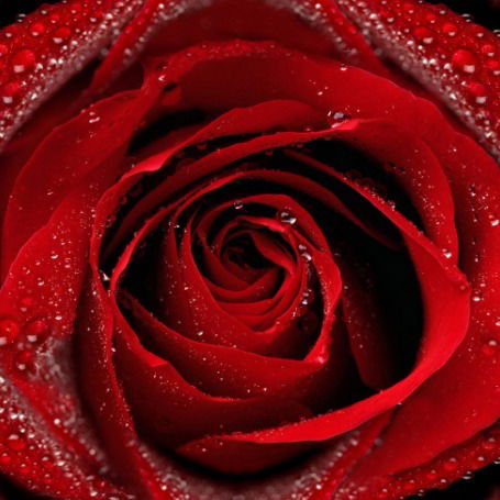 Инна Прокопчук